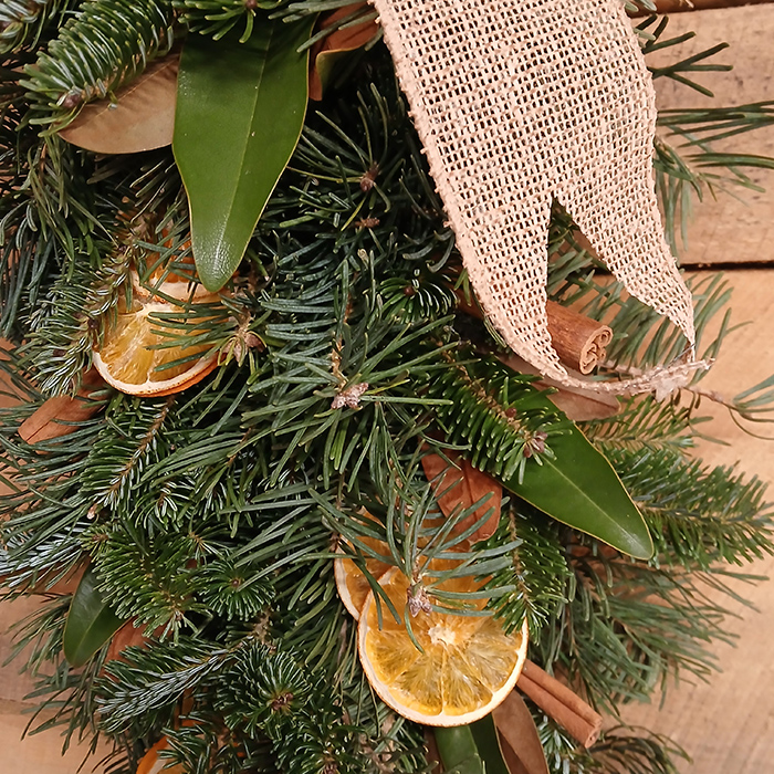 Citrus Magnolia - Image 2